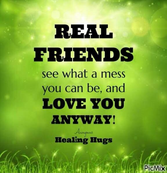 REAL FRIENDS see what a mess you can be, and LOVE YOU ANYWAY! Anonymous Healing Hugs