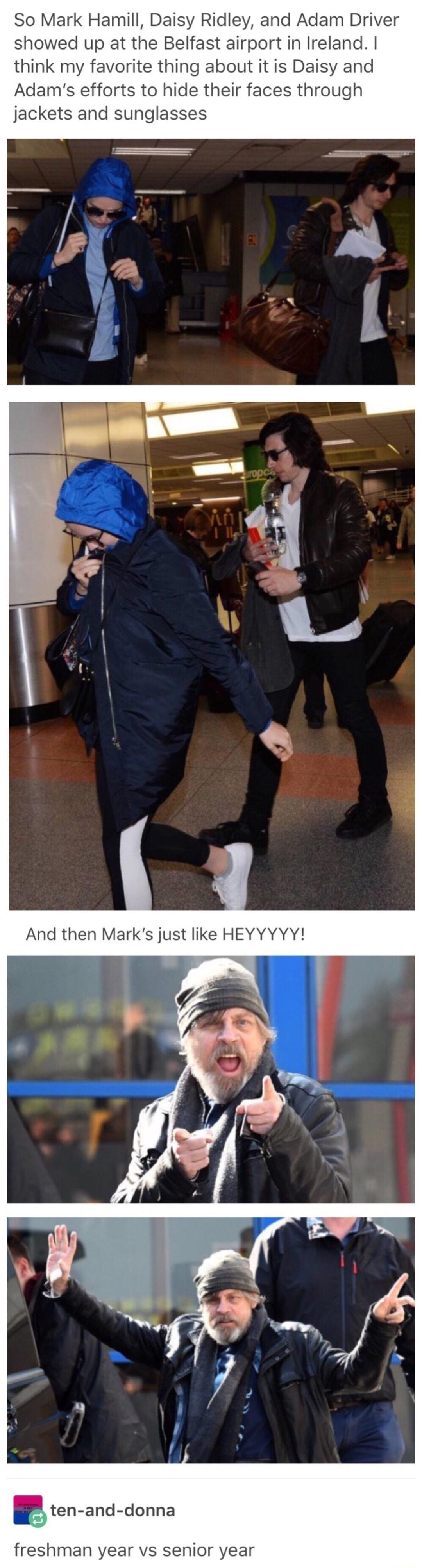 So Mark Hamill Daisy Ridley and Adam Driver showed up at the Belfast airport in Ireland think my favorite thing about it is Daisy and Adams efforts to hide their faces through jackets and sunglasses And then Marks just like HEYYYYY r ten and donna freshman year vs senior year