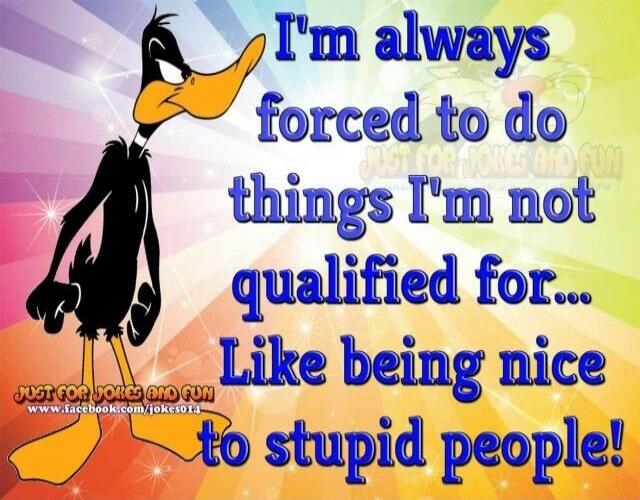 I'm always forced to do things I'm not qualified for... Like being nice to stupid people!