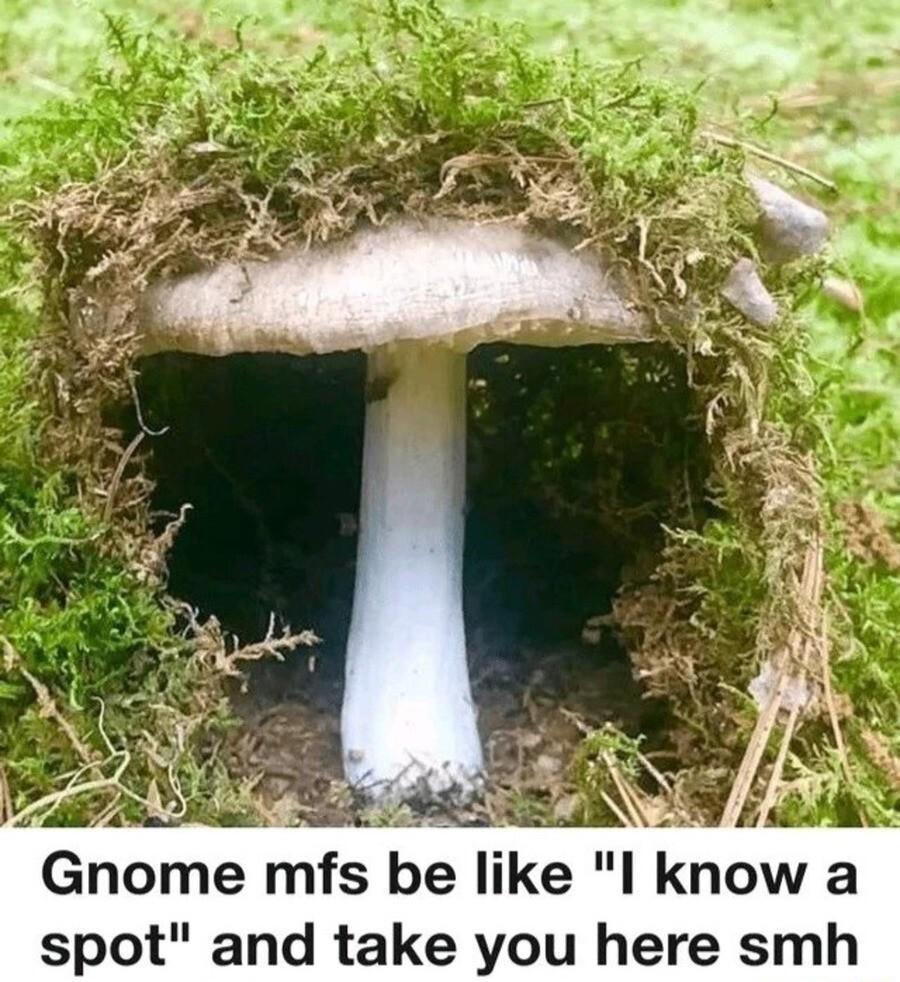 3 Gome mfs be like l know a spot and take you here smh