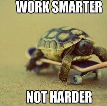 WORK SMARTER NOT HARDER