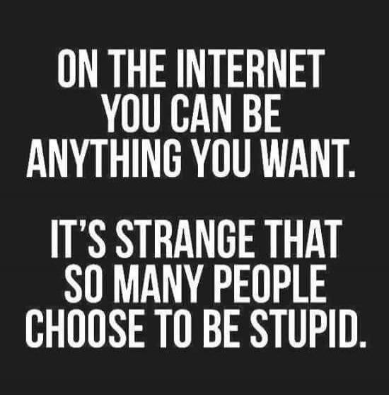ON THE INTERNET YOU CAN BE ANYTHING YOU WANT. IT'S STRANGE THAT SO MANY PEOPLE CHOOSE TO BE STUPID.