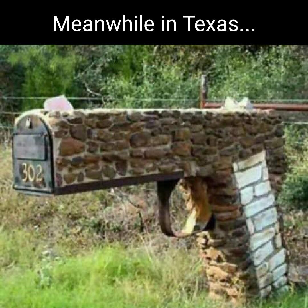Meanwhile in Texas T R w7l