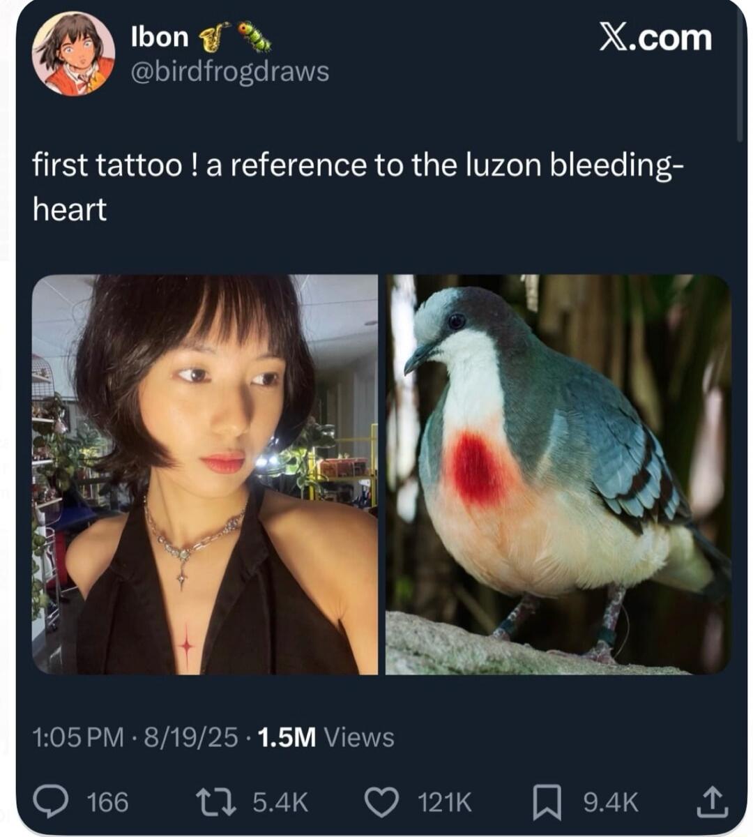 first tattoo ! a reference to the luzon bleeding-heart