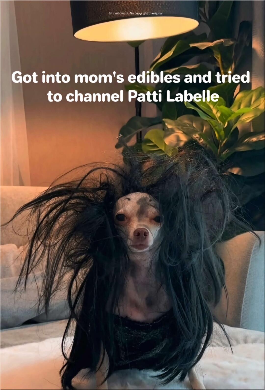 Got into mom's edibles and tried to channel Patti Labelle