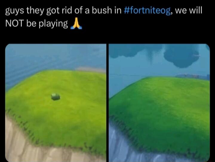guys they got rid of a bush in fortniteog we will N ENITY