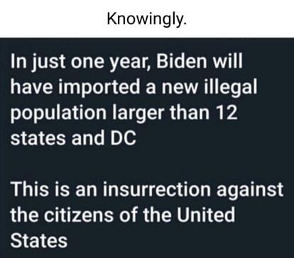 Knowingly In just one year Biden will have imported a new illegal population larger than 12 SEICHERT This is an insurrection against the citizens of the United BIEIES