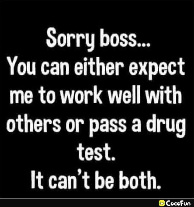 Sorry boss... You can either expect me to work well with others or pass a drug test. It can't be both.