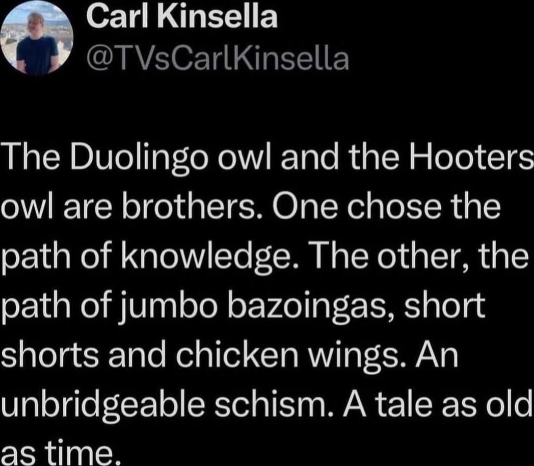 Carl Kinsella RS eTI I EY The Duolingo owl and the Hooters owl are brothers One chose the path of knowledge The other the path of jumbo bazoingas short shorts and chicken wings An unbridgeable schism A tale as old as time