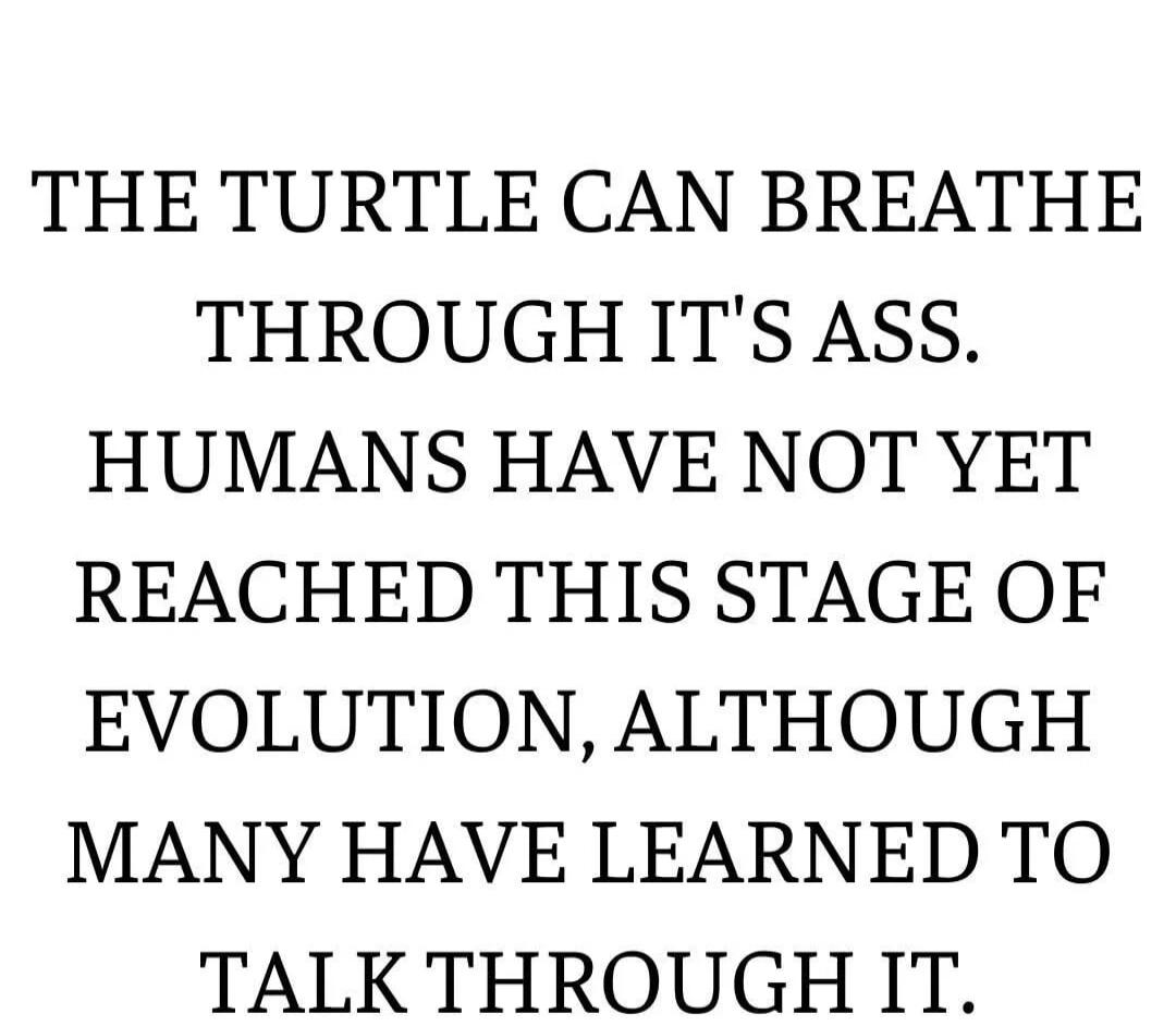 THE TURTLE CAN BREATHE THROUGH IT'S ASS. HUMANS HAVE NOT YET REACHED THIS STAGE OF EVOLUTION, ALTHOUGH MANY HAVE LEARNED TO TALK THROUGH IT.