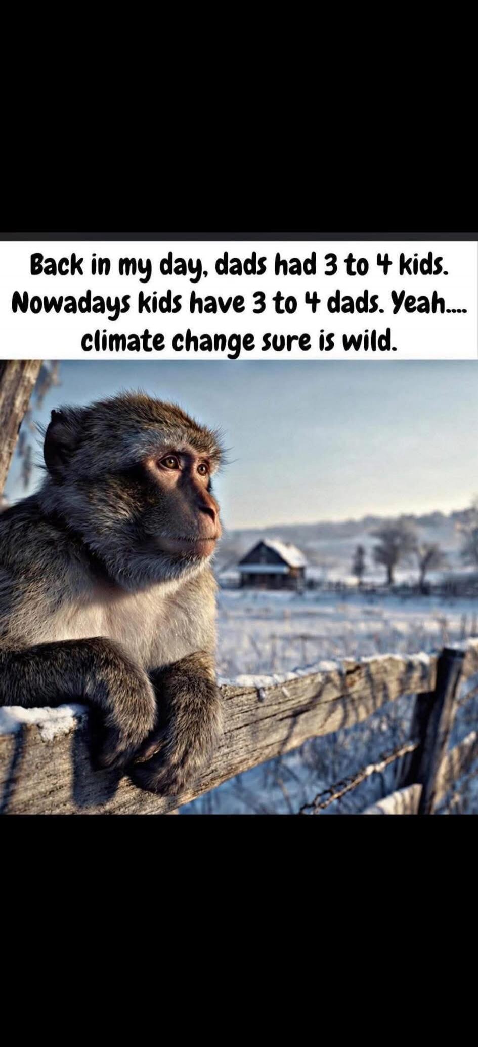 Back in my day, dads had 3 to 4 kids. Nowadays kids have 3 to 4 dads. Yeah.... climate change sure is wild.