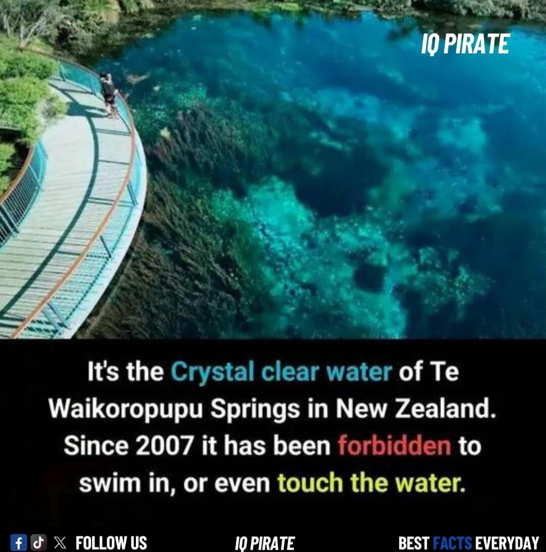 Its the Crys ater of Te Waikoropupu Springs in New Zealand Since 2007 it has been forbidden to swim in or even touch the water FOLLOWUS 10 PIRATE BEST EVERYDAY