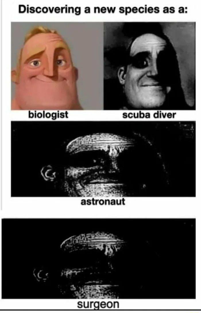 Discovering a new species as a biologist scuba diver
