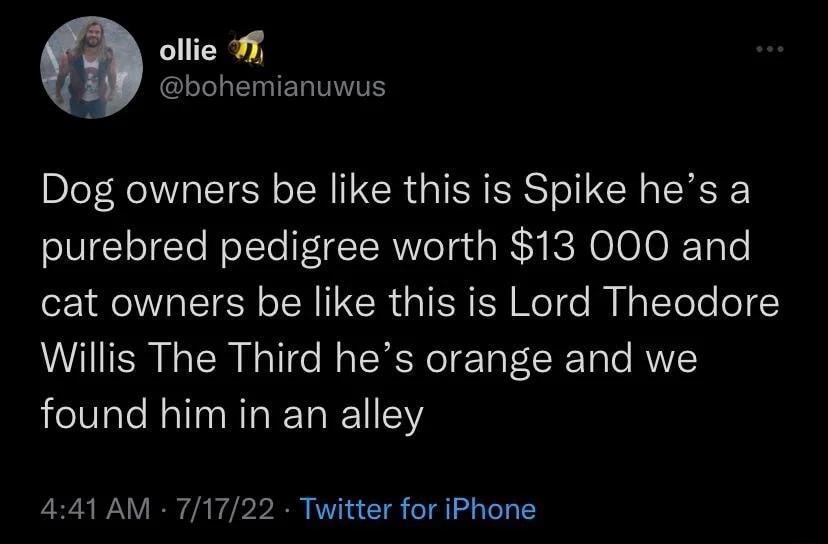 ollie 7 GLIL ERTERITVITS Dog owners be like this is Spike hes a purebred pedigree worth 13 000 and cat owners be like this is Lord Theodore Willis The Third hes orange and we found him in an alley 441 AM 71722 Twitter for iPhone