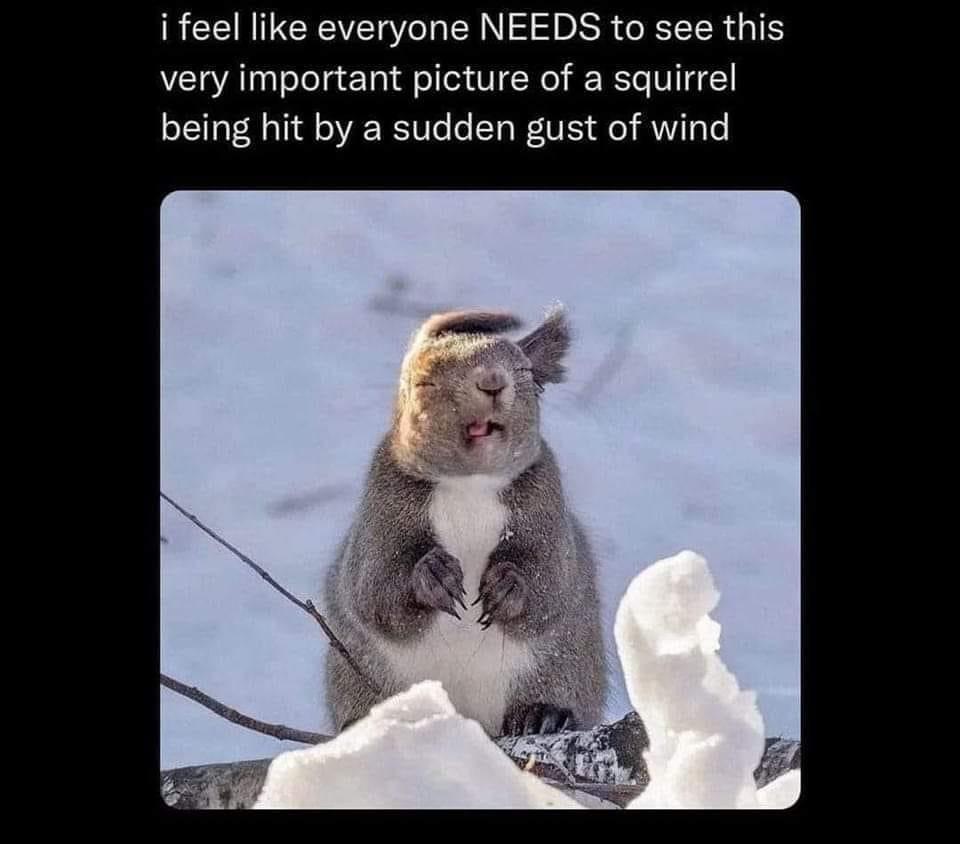 ifeel like everyone NEEDS to see this e being hit by a sudden gust of wind