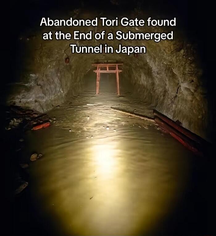 Abandoned Tori Gate found at the End ofa Submerged Tunnel NETEI