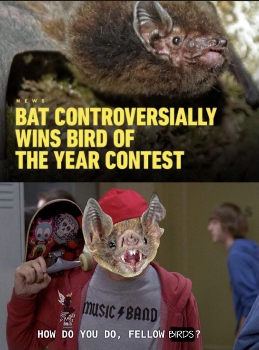 e AT N w s g AT CONTROVERSIALLY WINS BIRD OF THE YEAR CONTEST