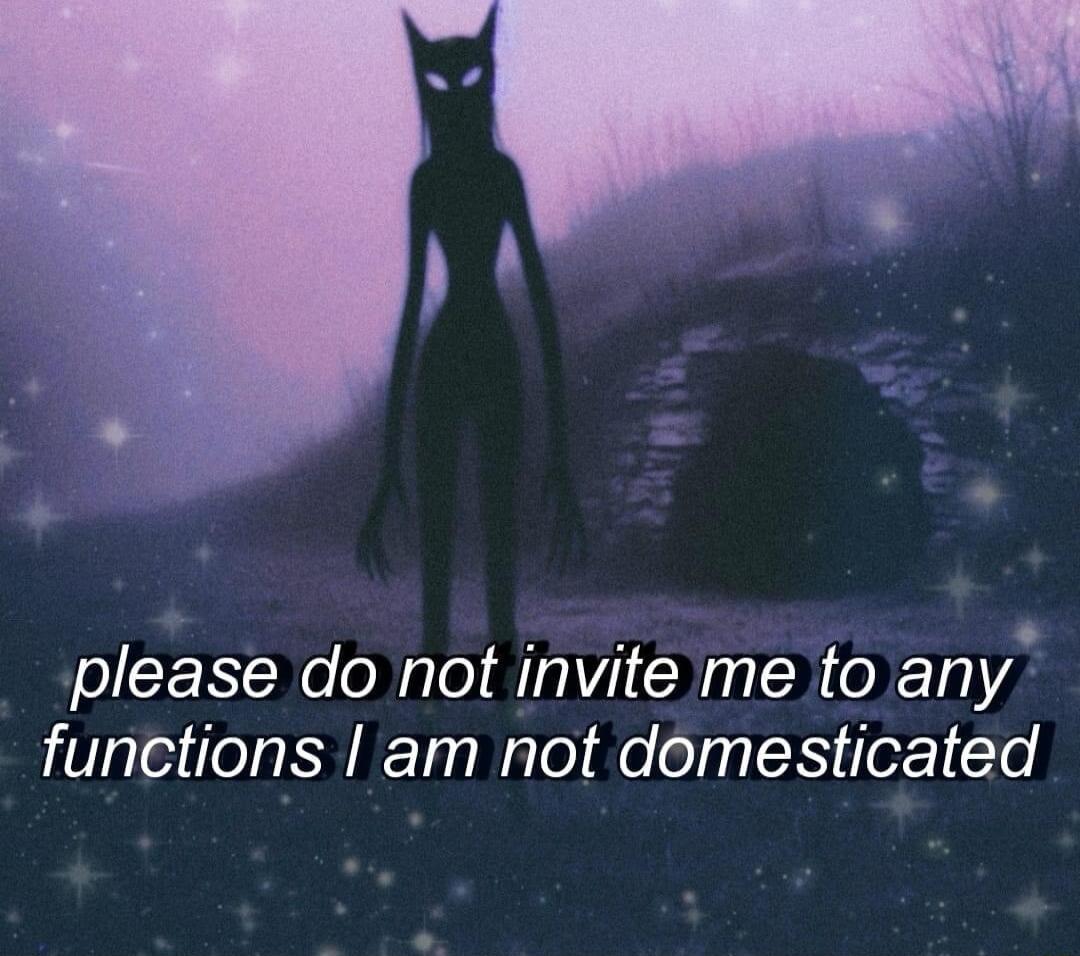 please do not invite me to any functions am not domesticated