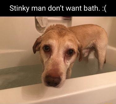 Stinky man dont want bath