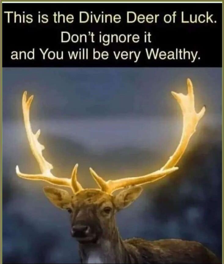 LERER GV TR B TT o g Vo Dont ignore it ELaTe I VAU o TSRVITo VAR 1Y