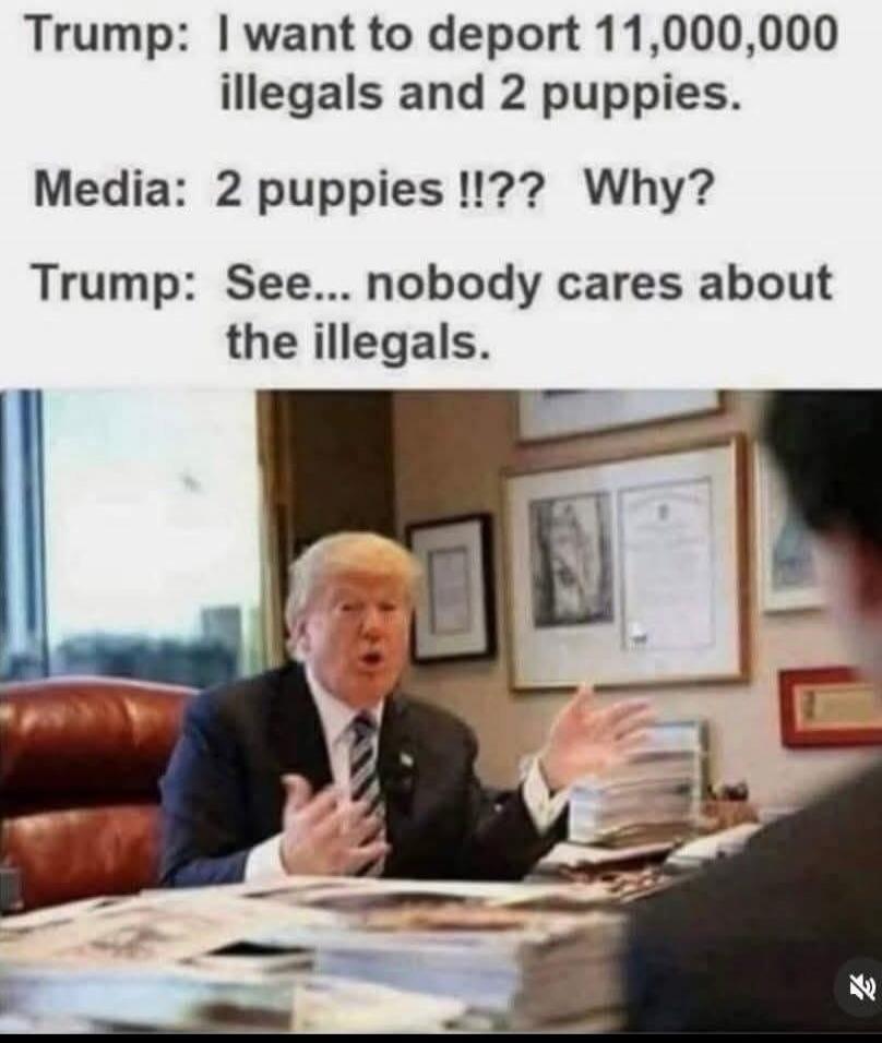 Trump: I want to deport 11,000,000 illegals and 2 puppies. Media: 2 puppies !!?? Why? Trump: See... nobody cares about the illegals.
