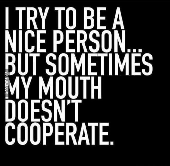 I TRY TO BE A NICE PERSON... BUT SOMETIMES MY MOUTH DOESN'T COOPERATE.