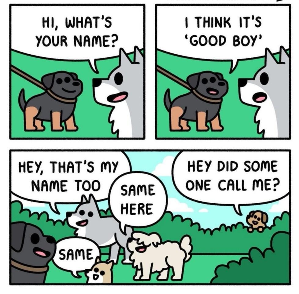 HI WHATS THINK ITS YOUR NAME GO0D BOY HEY DID SOME ONE CALL ME