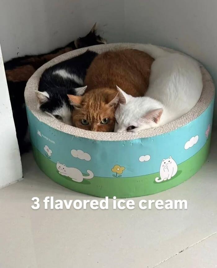 3 flavored ice cream