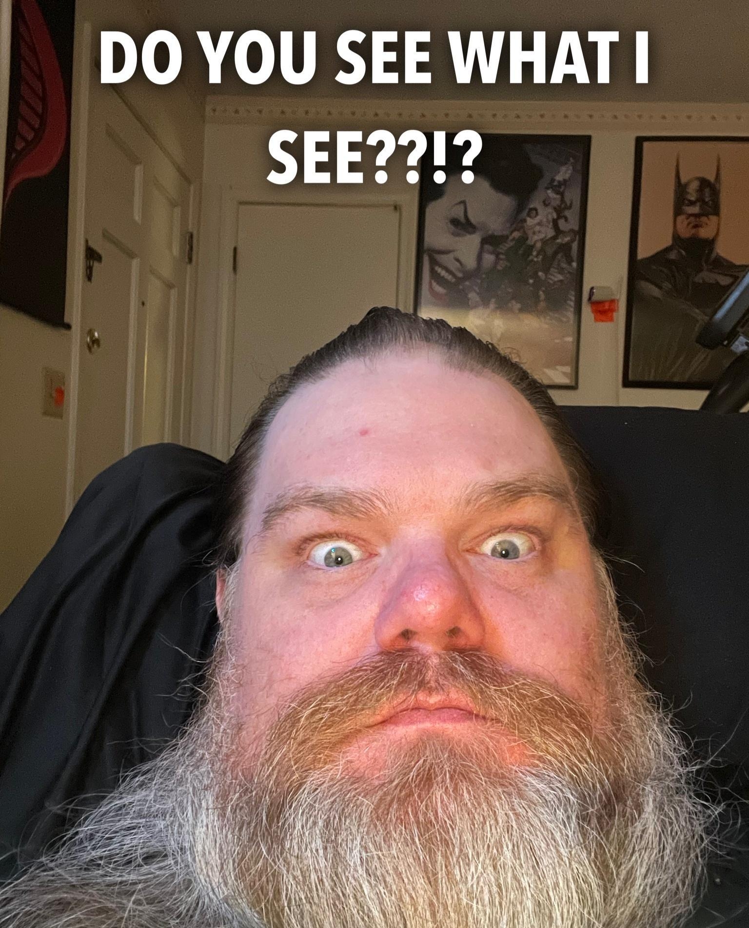 DO YOU SEE WHAT SEE212