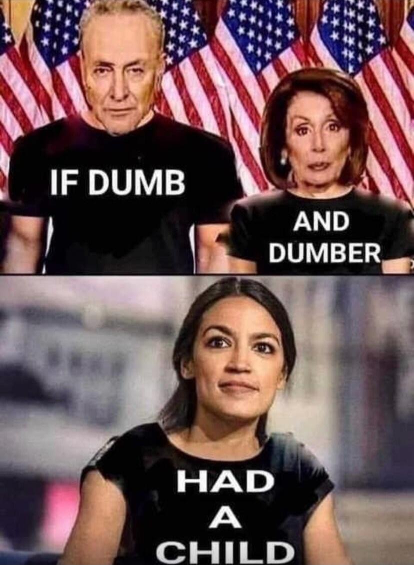 IF DUMB AND DUMBER HAD A CHILD