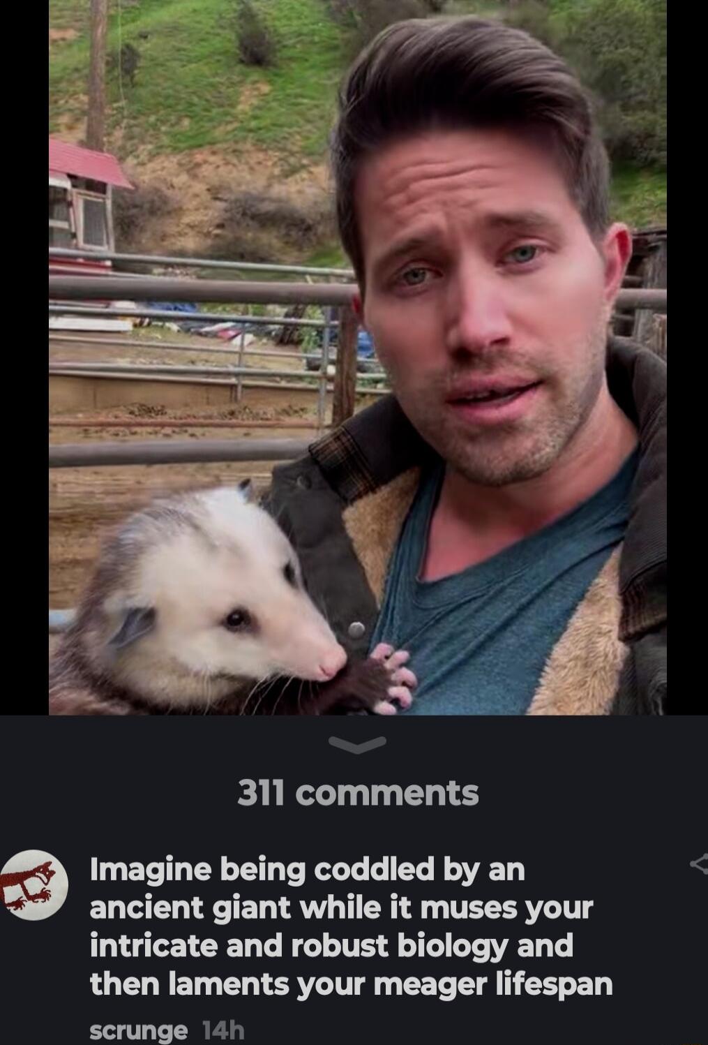 311 comments Imagine being coddled by an ancient giant while it muses your intricate and robust biology and then laments your meager lifespan scrunge 14h