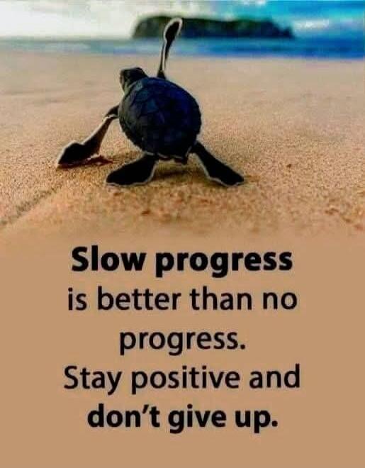 Slow progress is better than no progress. Stay positive and don’t give up.