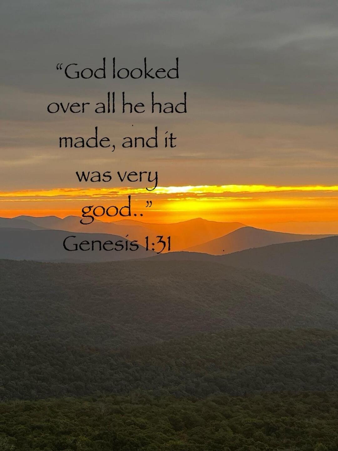 “God looked over all he had made, and it was very good..” Genesis 1:31