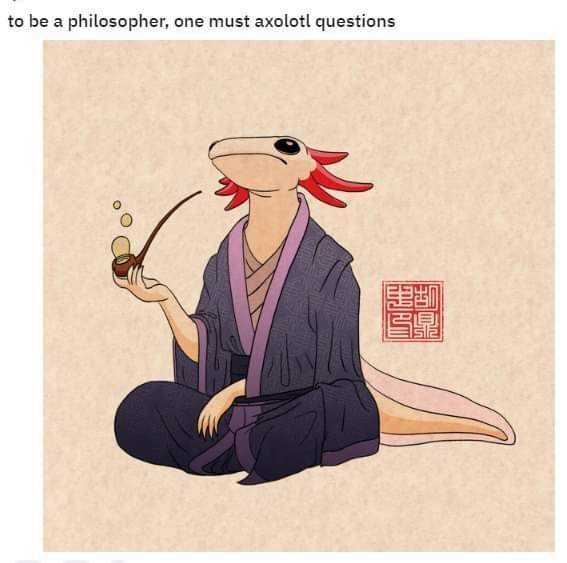 to be a philosopher one must axolotl questions