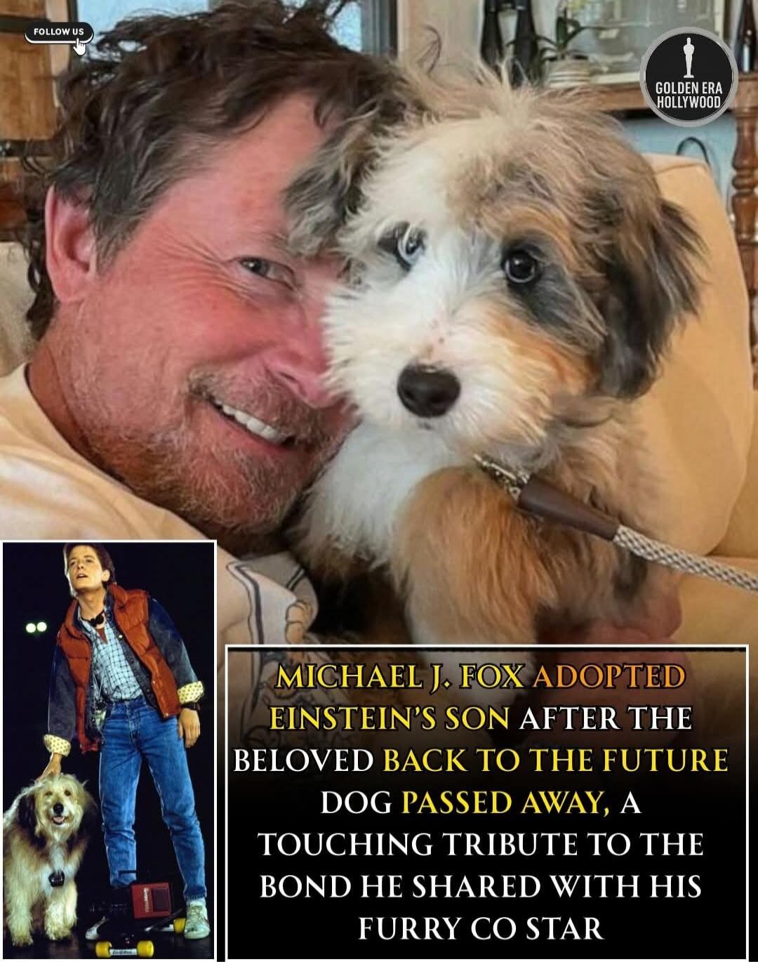 FOLLOW US
GOLDEN ERA HOLLYWOOD
MICHAEL J. FOX ADOPTED EINSTEIN'S SON AFTER THE BELOVED BACK TO THE FUTURE DOG PASSED AWAY, A TOUCHING TRIBUTE TO THE BOND HE SHARED WITH HIS FURRY CO STAR