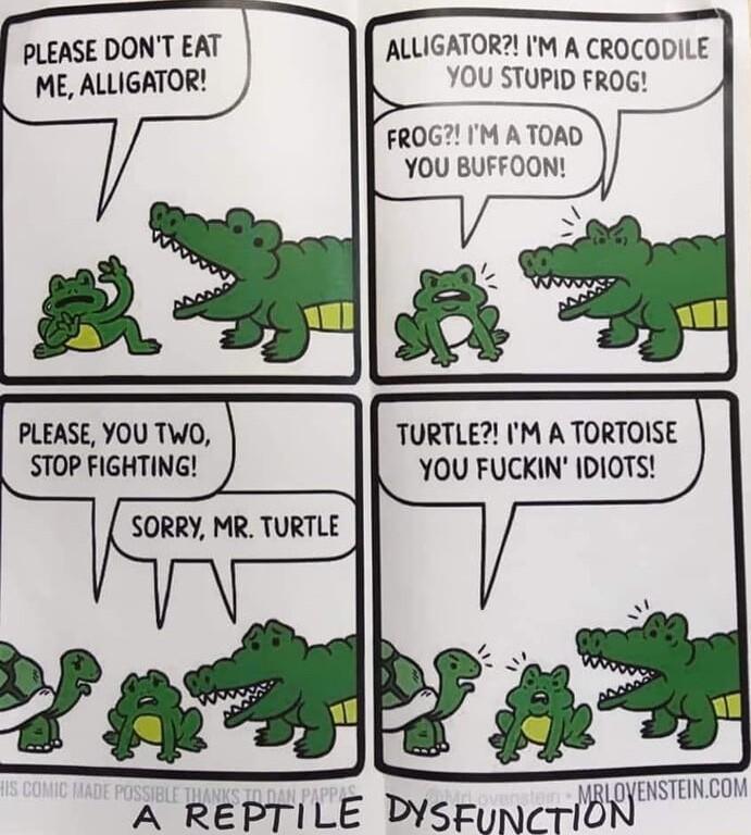 PLEASE DONT EAT ME ALLIGATOR PLEASE YOU TWO STOP FIGHTING A REPTILE WSFUNCTIMWW ALLIGATOR M A CROCODILE YOU STUPID FROG FROG M ATOAD YOU BUFFOON TURTLE IM A TORTOISE YOU FUCKIN IDIOTS