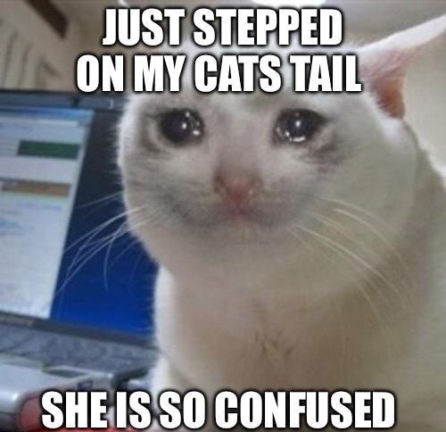 IIISTISTEIPEII D ONMY LIS TAILY Fll CONFUSED