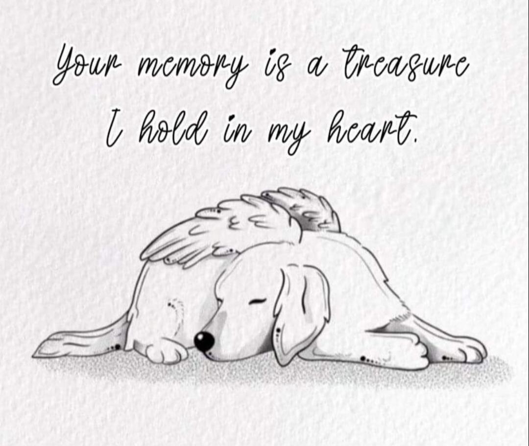 Your memory is a treasure I hold in my heart.