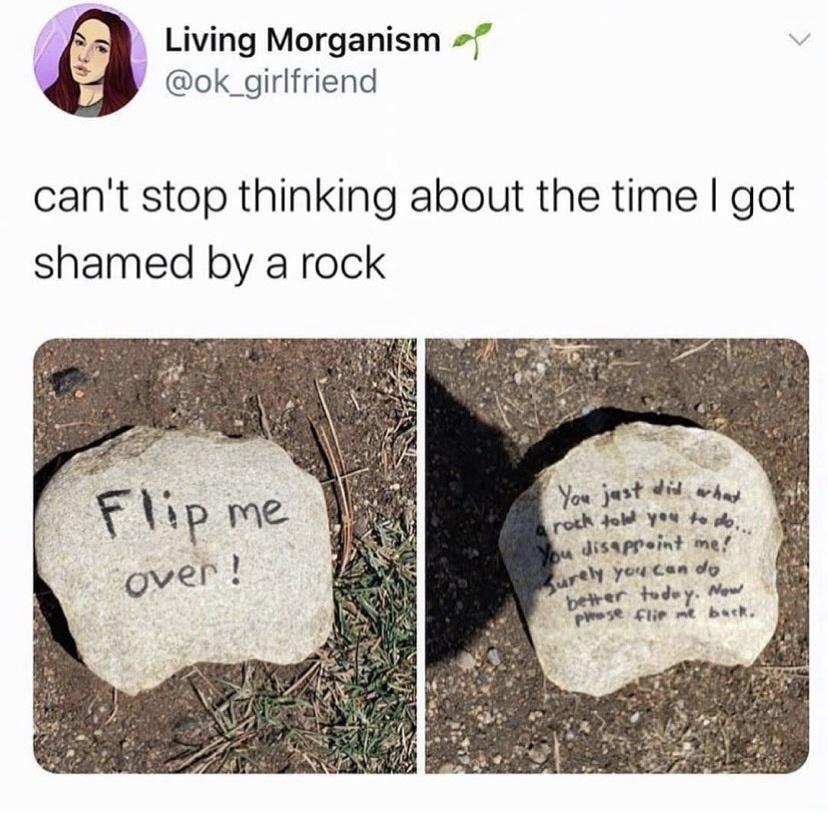 6 Living Morganism P ok_girlfriend cant stop thinking about the time got shamed by a rock You just 4 why otk Jobd YN fo b disappeint mef oW yed Ccan dy o tudey New b lir 1 back