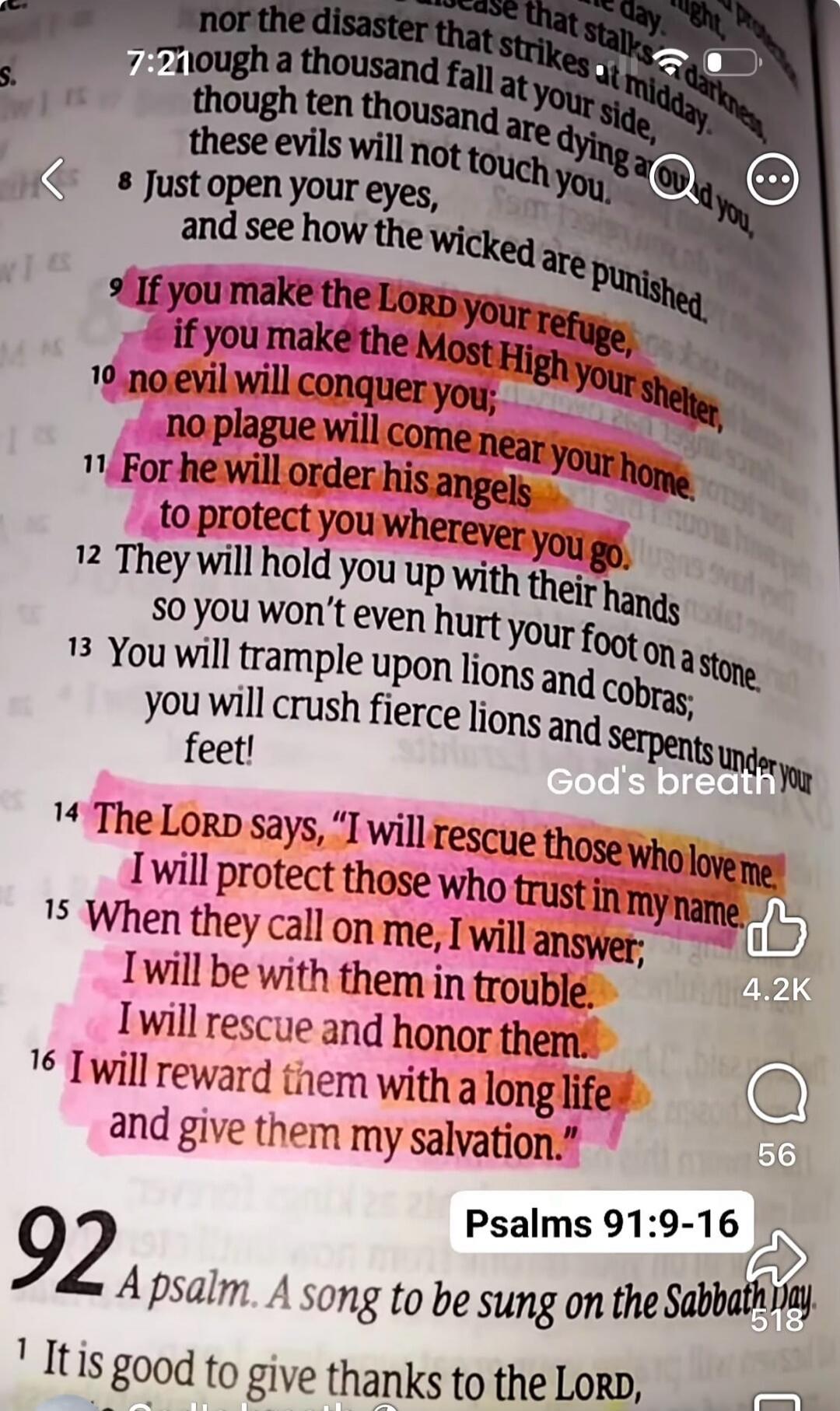 If you make the LORD your refuge, if you make the Most High your shelter, no evil will conquer you; no plague will come near your home. For he will order his angels to protect you wherever you go. They will hold you up with their hands so you won't even hurt your foot on a stone. You will trample upon lions and cobras; you will crush fierce lions a