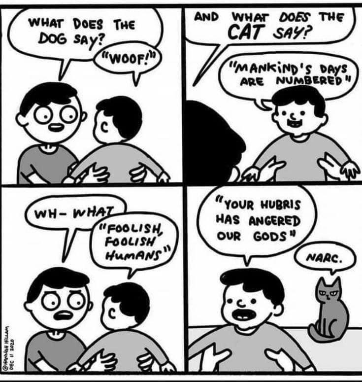 WHAT DOES THe AND WHAT DOES THE CAT say mankinps b ARE NJDMBIR YouR WUBRIS HAS ANGERED