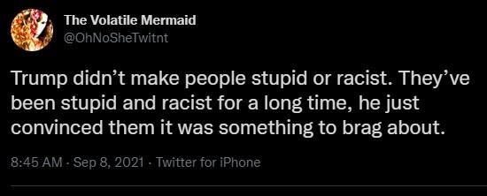 The Volatile Mermaid OhNoSheTwitnt Trump didnt make people stupid or racist Theyve been stupid and racist for a long time he just convinced them it was something to brag about