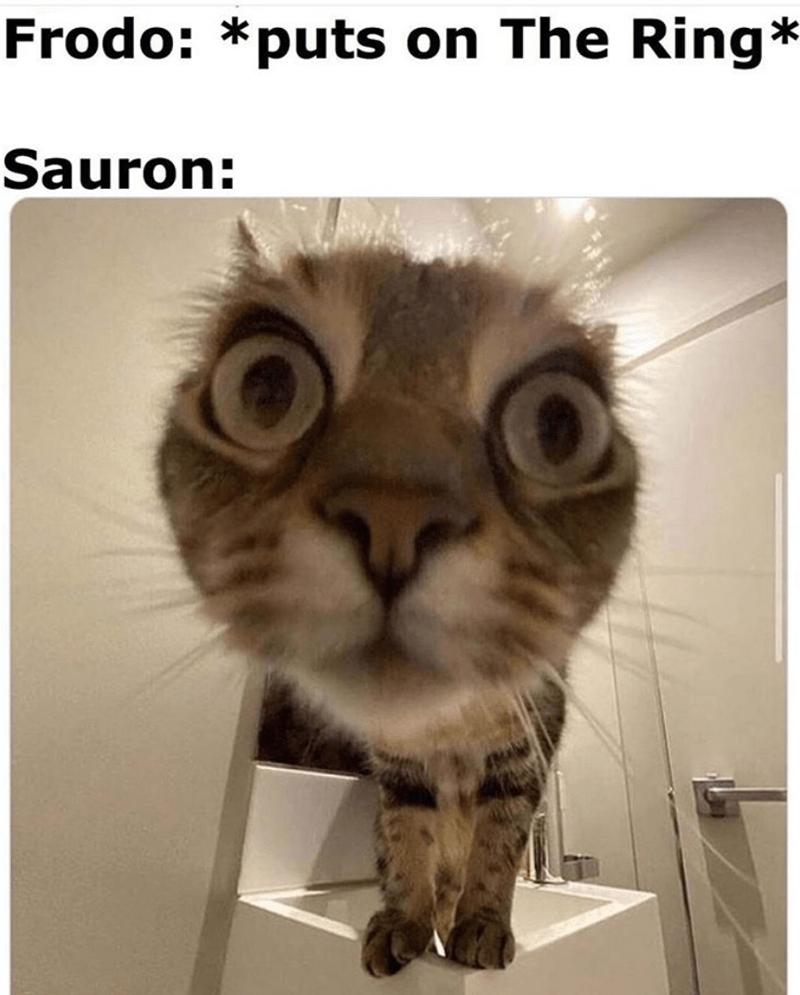 Frodo puts on The Ring Sauron