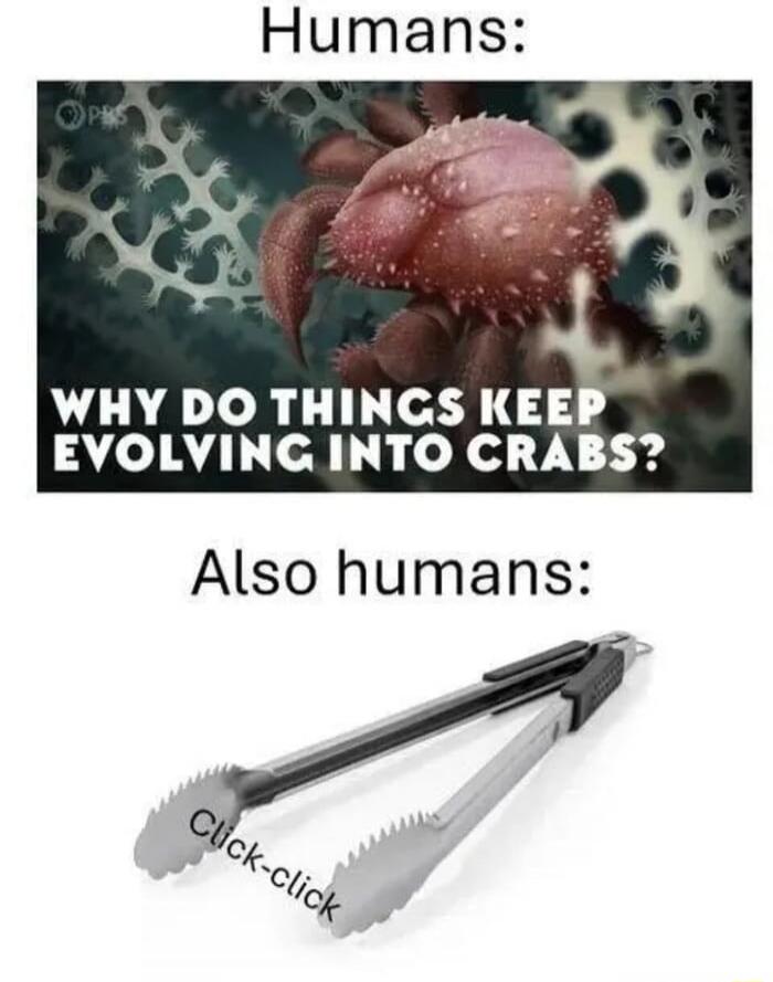 Humans: WHY DO THINGS KEEP EVOLVING INTO CRABS? Also humans: Click-click
