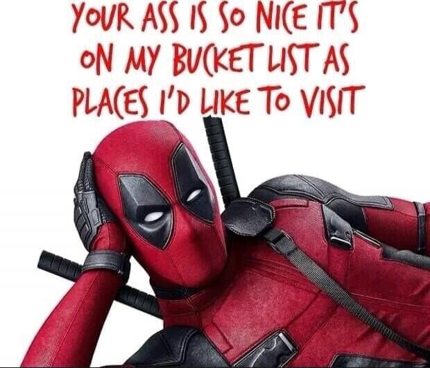 YOUR ASS IS SO NICE IT'S ON MY BUCKET LIST AS PLACES I'D LIKE TO VISIT