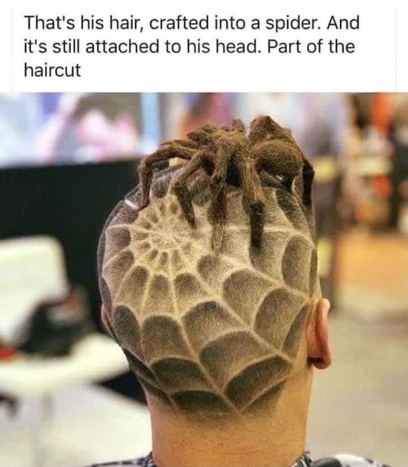 Thats his hair crafted into a spider And its still attached to his head Part of the haircut