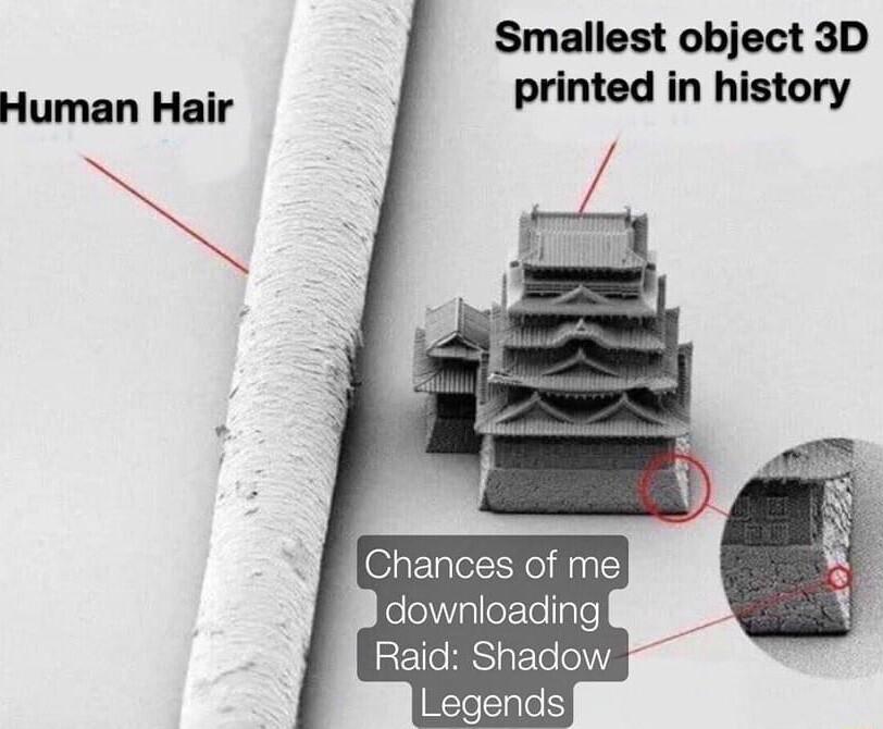 Smallest object 3D printed in history Human Hair Chances of me elelplleEle gle REICRSE Y