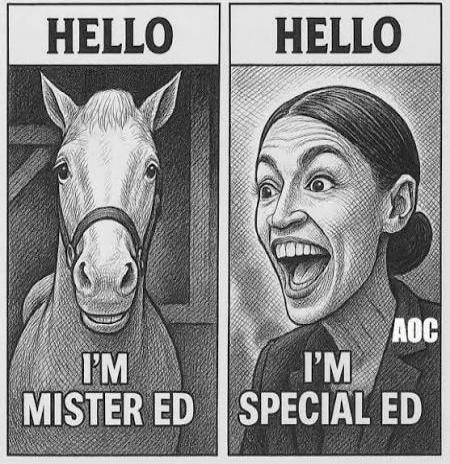 HELLO I'M MISTER ED HELLO AOC I'M SPECIAL ED