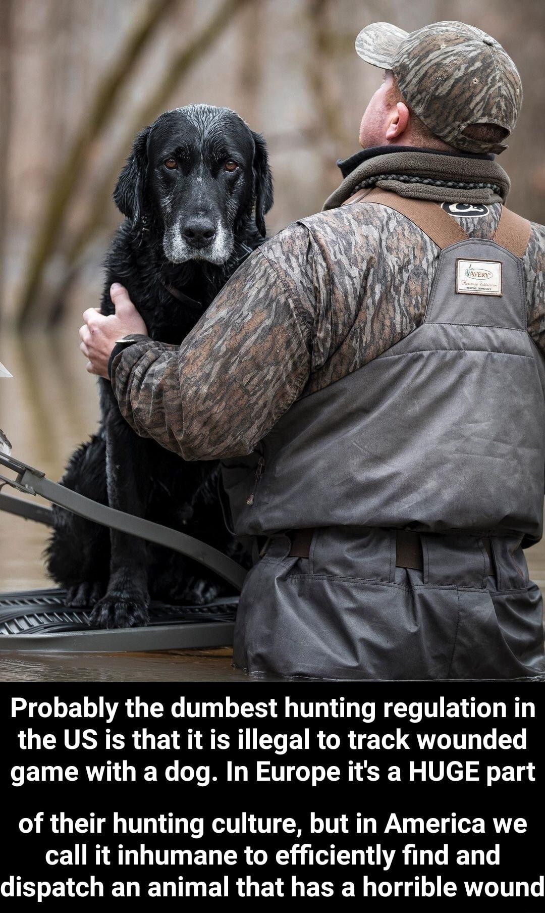 e S Probably the dumbest hunting regulation in the US is that it is illegal to track wounded e CERWI1 I We o Te M W ST o o TR 3 W g V 9 T 1g of their hunting culture but in America we call it inhumane to efficiently find and GERENGIEN RN ETRGE TS EERE N Te g 10 AW Tl