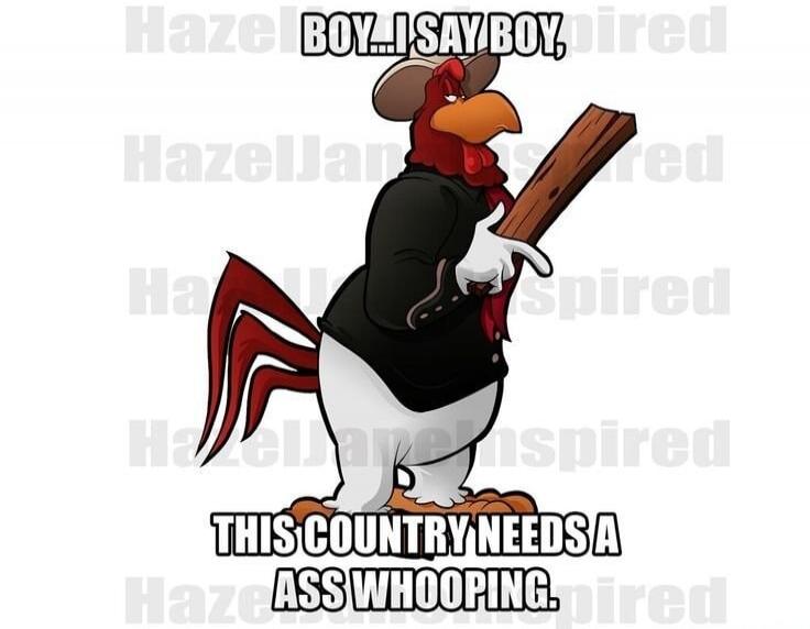 BOY... I SAY BOY, THIS COUNTRY NEEDS A ASS WHOOPING.